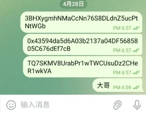 2025款高仿新版假飞机假TG源码/以及搭建教程-华外学习网华外资源网